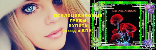 mdpv Рославль