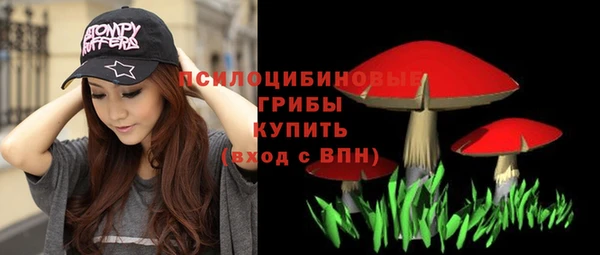 mdpv Рославль