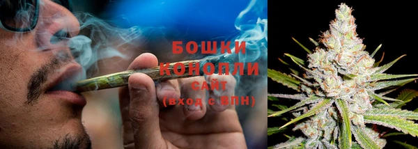 PSILOCYBIN Россошь